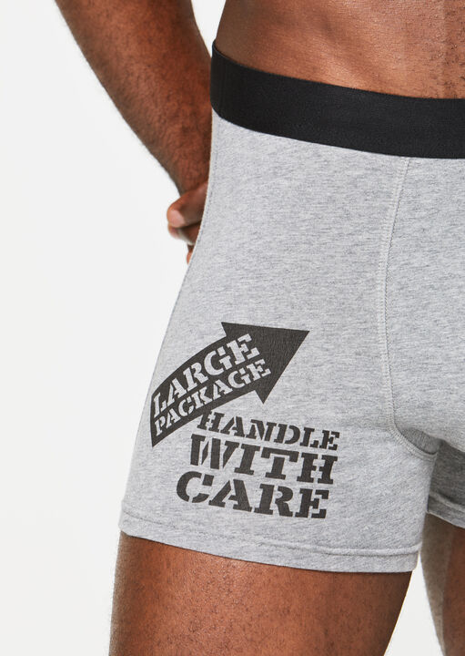 Large Package, Handle With Care Boxer image number 1.0