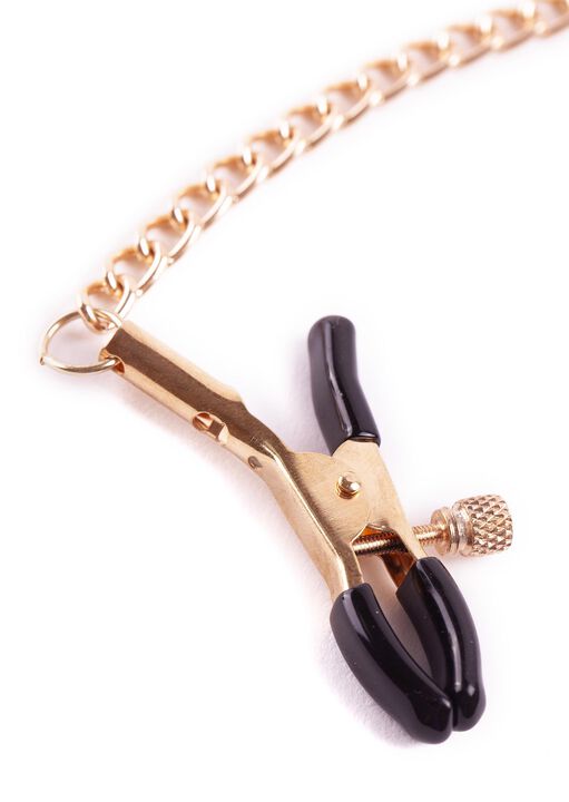 Nipple And Clit Chain image number 2.0