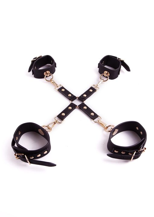 Bondage Vault Set image number 2.0