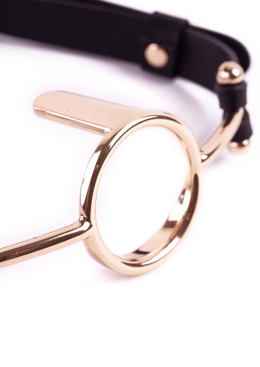 Signature Ring Gag image number 4.0
