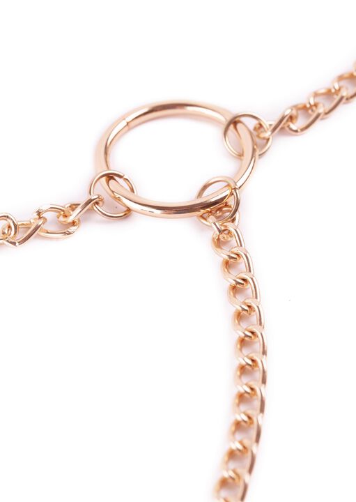 Nipple And Clit Chain image number 3.0