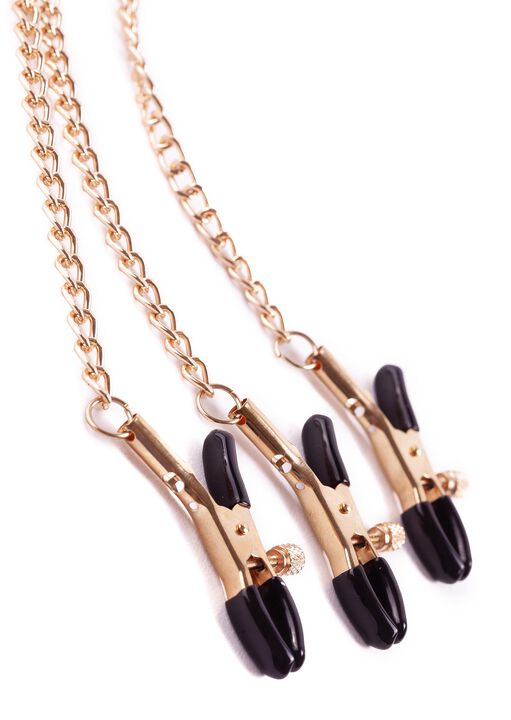 Nipple And Clit Chain image number 1.0