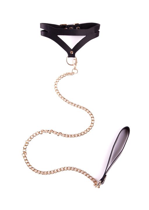 Signature Strappy Collar and Lead image number 0.0