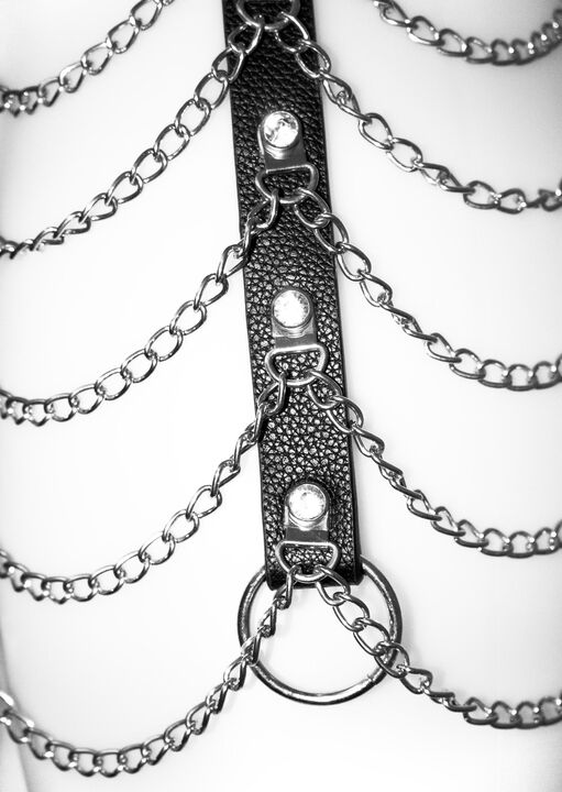 Diamante and Chain Skirt Harness image number 4.0