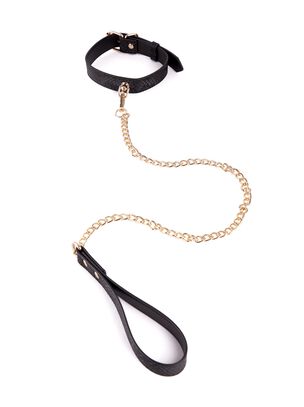 Viper Collar and Lead