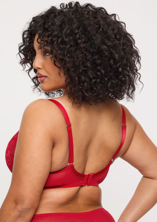 Sexy Lace Fuller Bust Non Padded Plunge Bra image number 3.0