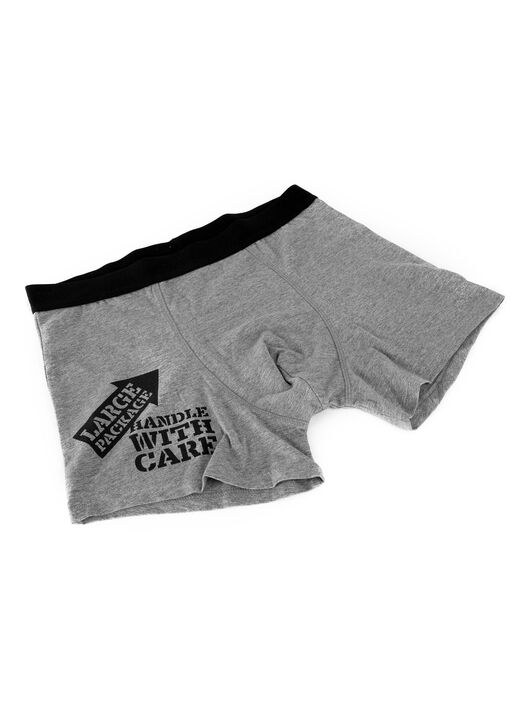 Large Package, Handle With Care Boxer image number 6.0