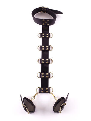 Signature Neck To Wrist Restraint
