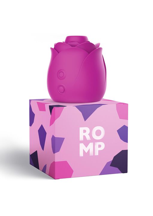 Romp Rose image number 4.0