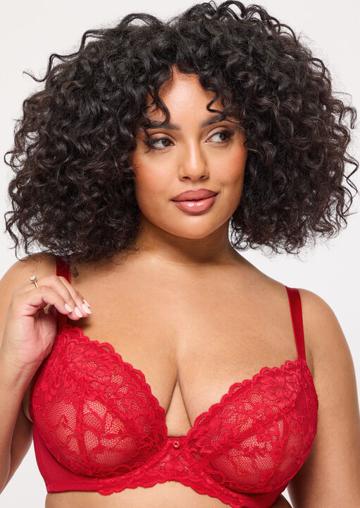 Sexy Lace Fuller Bust Non Padded Plunge Bra image number 0.0