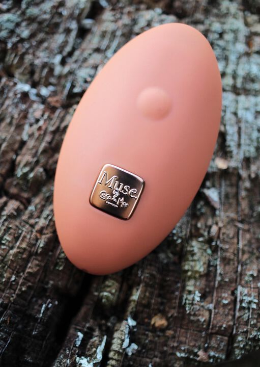 Coco De Mer Muse Panty Vibe Vibrator image number 3.0