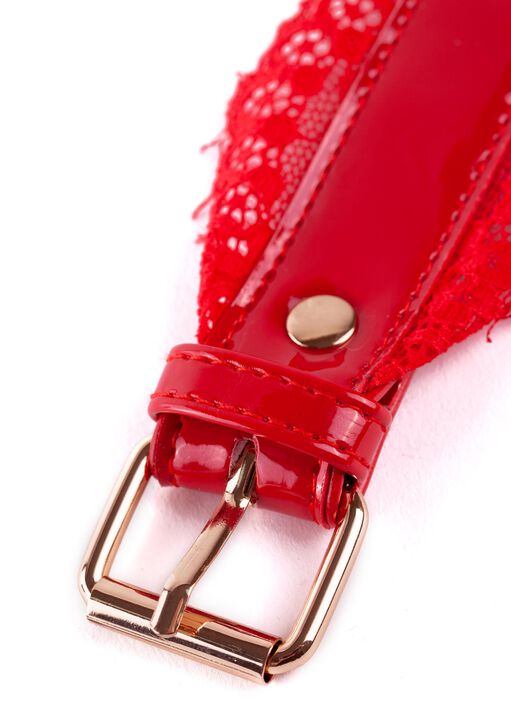 High Gloss and Lace Collar image number 4.0