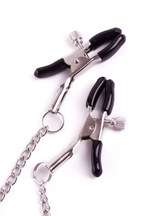 Silver Nipple Clamps image number 1.0