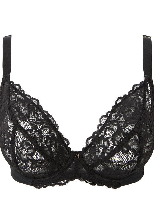 Sexy Lace Fuller Bust Non Padded Plunge Bra image number 8.0