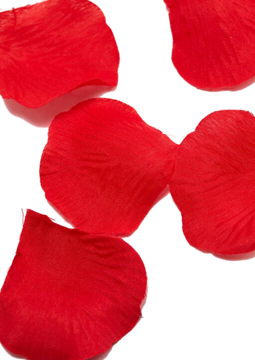 Bed Of Roses Petals image number 2.0