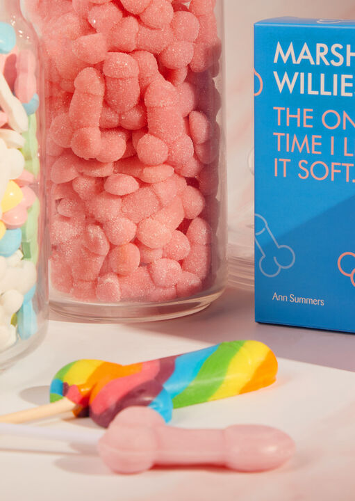 Rainbow Willy Lolly Rude Edible Sweets image number 4.0