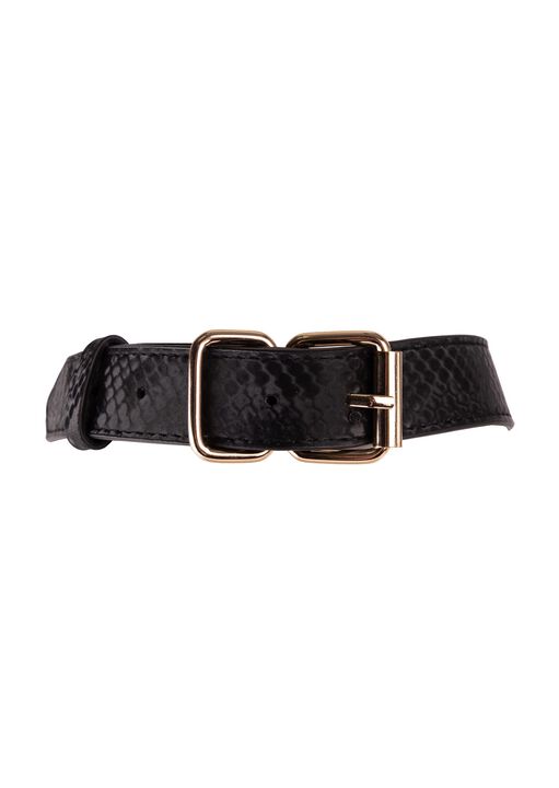 Viper Collar and Lead image number 4.0