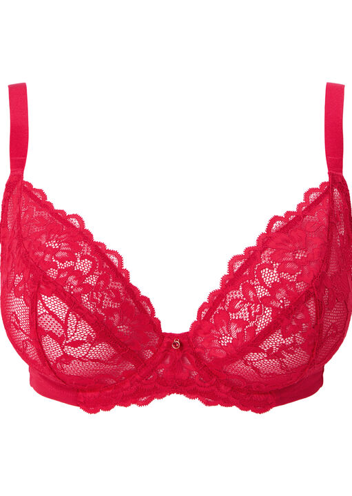Sexy Lace Fuller Bust Non Padded Plunge Bra image number 5.0