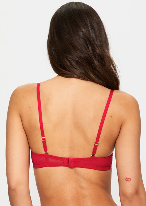 Sexy Lace Non Padded Plunge Bra image number 3.0