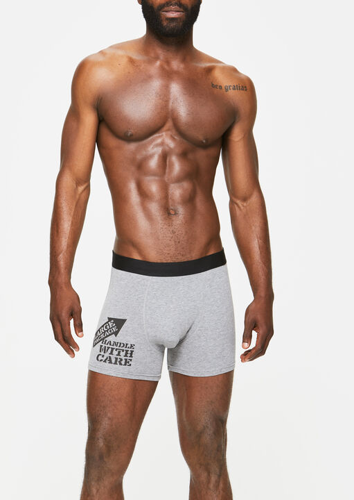 Large Package, Handle With Care Boxer image number 3.0