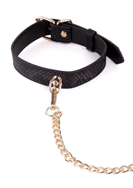 Viper Collar and Lead image number 2.0