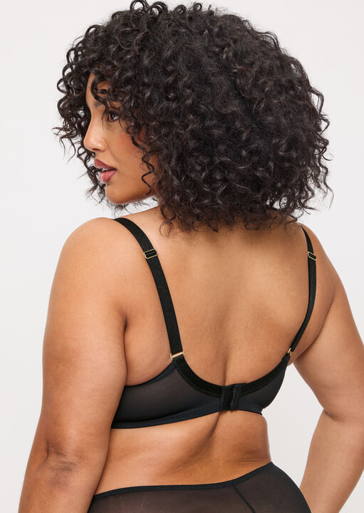 Sexy Lace Fuller Bust Non Padded Plunge Bra image number 5.0