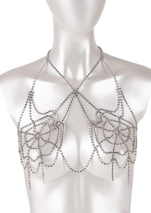 Chain Web Harness image number 2.0